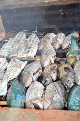 grilled fish-AsiaPhotoStock