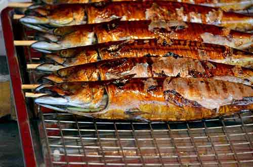 grilled fish-AsiaPhotoStock