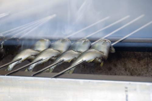 grilled fish-AsiaPhotoStock