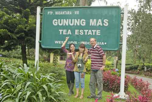 gunung mas-AsiaPhotoStock