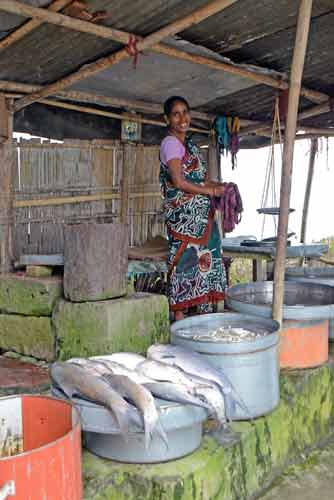 guwahati fish-AsiaPhotoStock