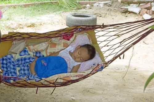 sleeping in hammock-AsiaPhotoStock