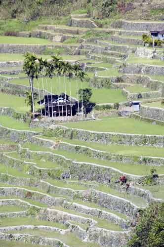 hapao terraces-AsiaPhotoStock