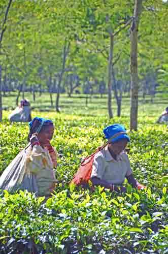 happy workers-AsiaPhotoStock