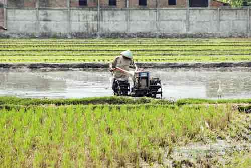 harvester tractor-AsiaPhotoStock