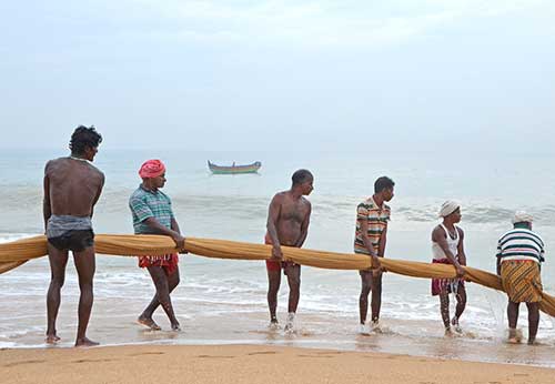 hauling-AsiaPhotoStock