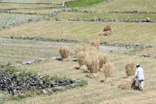 bontoc-AsiaPhotoStock