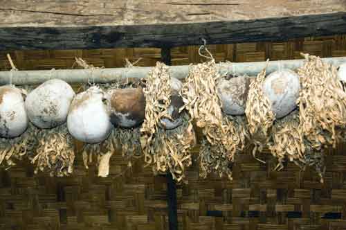 head hunter trophies-AsiaPhotoStock