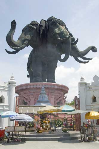 heads of elephants-AsiaPhotoStock