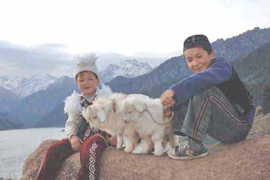 boys with sheep-AsiaPhotoStock