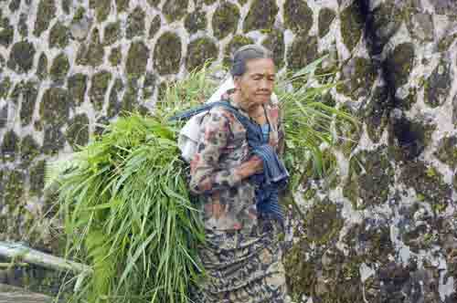 lady with heavy load-AsiaPhotoStock