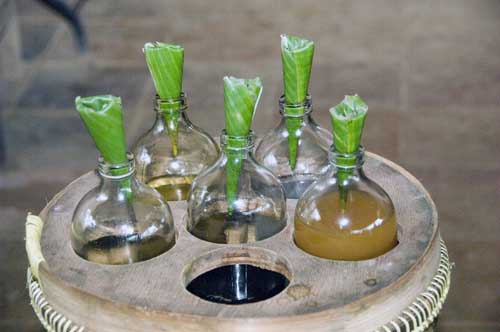 herbal drink-AsiaPhotoStock