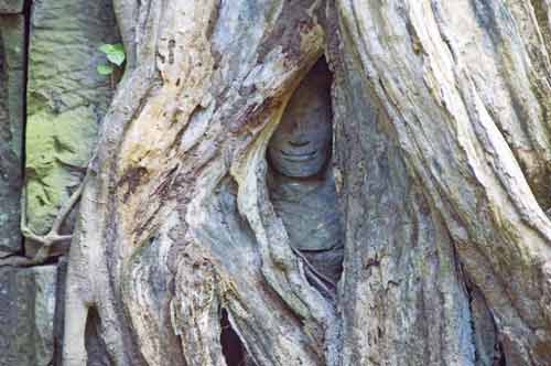 hidden face-AsiaPhotoStock