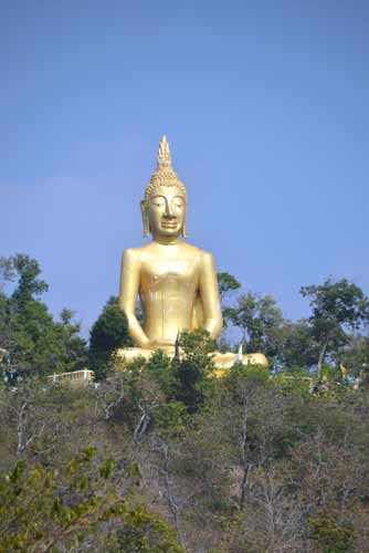 hill side buddha-AsiaPhotoStock