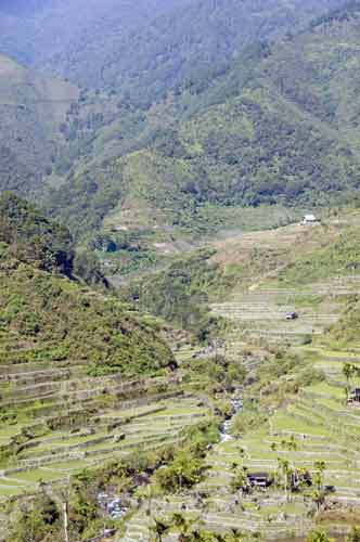 near hapao-AsiaPhotoStock