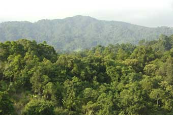 mines view park-AsiaPhotoStock