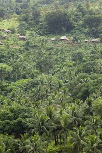 hillside mangyan villages-AsiaPhotoStock