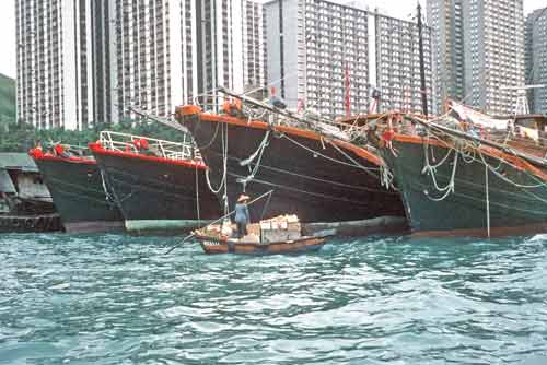 hong kong feeder boat-AsiaPhotoStock