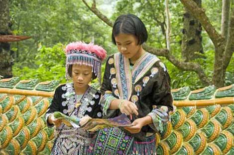 hmong reading-AsiaPhotoStock