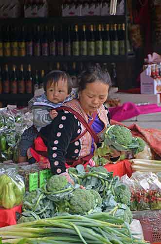 hmong and baby-AsiaPhotoStock