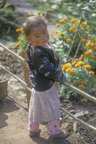 hmong child-AsiaPhotoStock