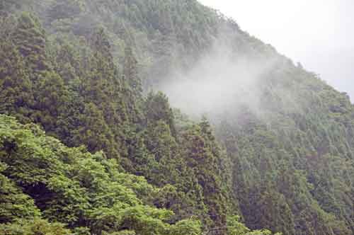 hodakaso mist-AsiaPhotoStock