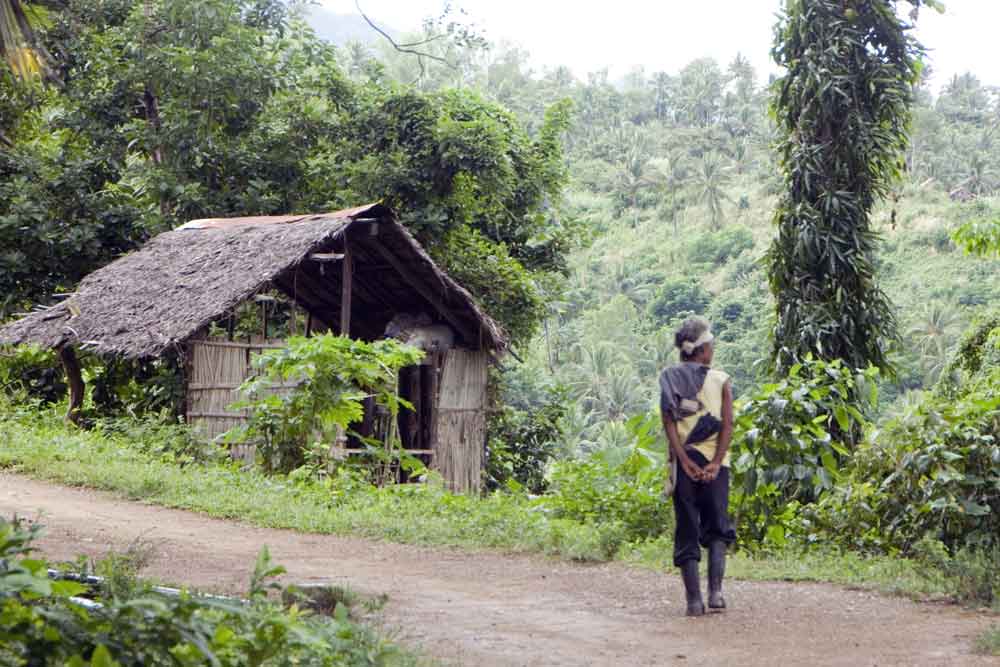 walking home mangyan-AsiaPhotoStock