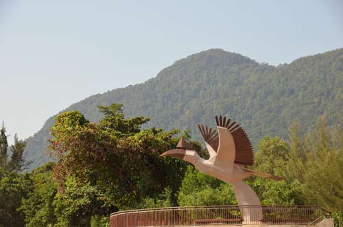 hornbill statue damai-AsiaPhotoStock