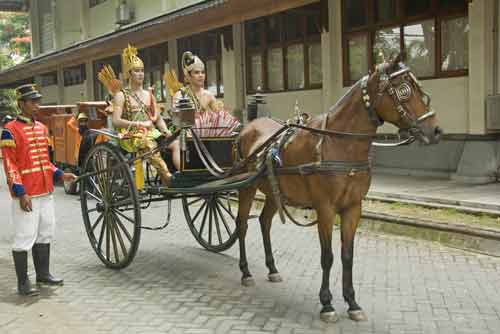 horse at carnival-AsiaPhotoStock