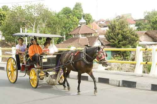 horse cart-AsiaPhotoStock