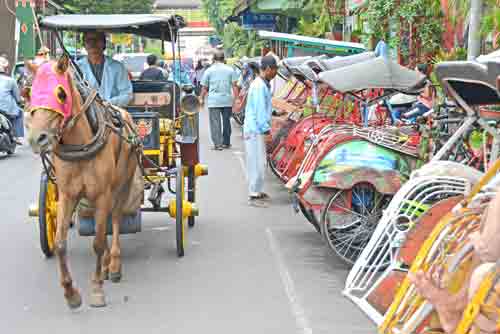 horse becak-AsiaPhotoStock