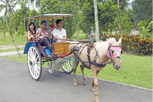 horse at borobudur-AsiaPhotoStock