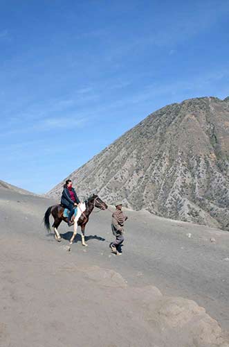 horse bromo-AsiaPhotoStock