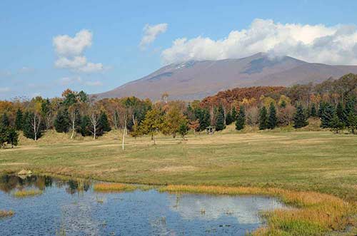 horse museum onuma-AsiaPhotoStock