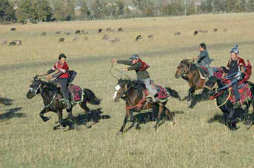 horse racing-AsiaPhotoStock