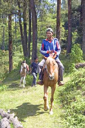 horse rider-AsiaPhotoStock