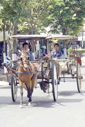 horse taxi-AsiaPhotoStock