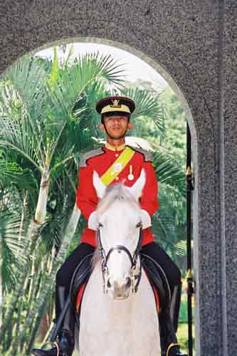 horse guard duty-AsiaPhotoStock