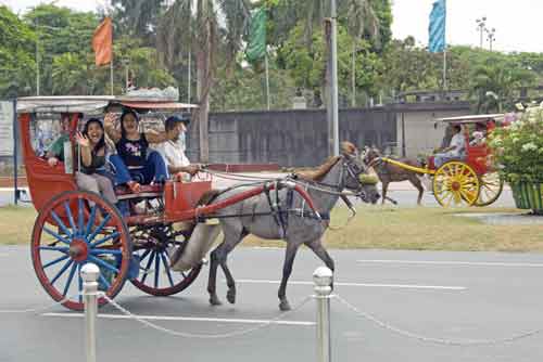 horses manila-AsiaPhotoStock