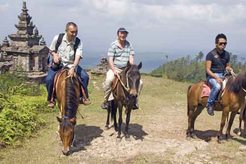 horses gedung songo-AsiaPhotoStock