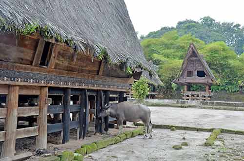 house simanindo-AsiaPhotoStock