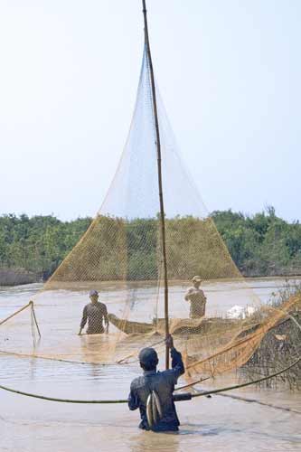 huge net-AsiaPhotoStock