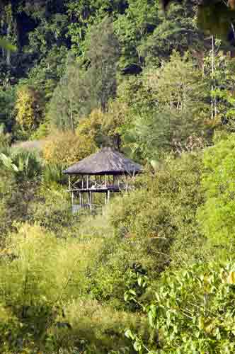 hut near loi hunu-AsiaPhotoStock