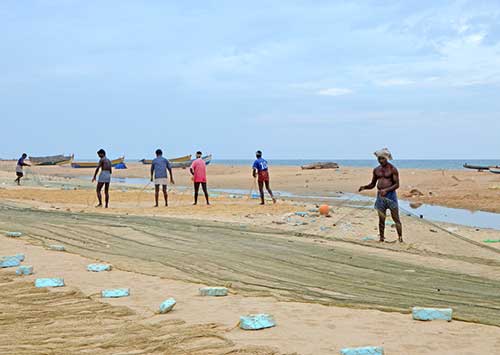 inspect nets-AsiaPhotoStock