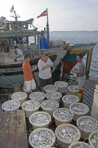 inspector at fish market-AsiaPhotoStock