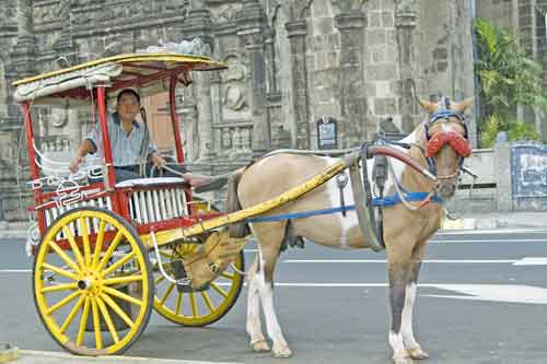 intramuros horse-AsiaPhotoStock