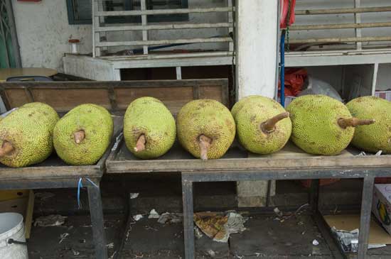 jack fruit stall-AsiaPhotoStock