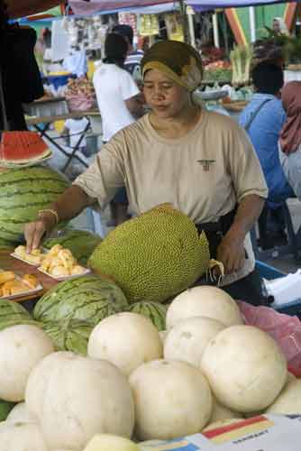 jack fruit-AsiaPhotoStock