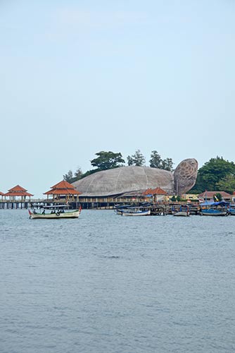 jepara turtle-AsiaPhotoStock