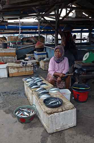 jimbaran fish-AsiaPhotoStock